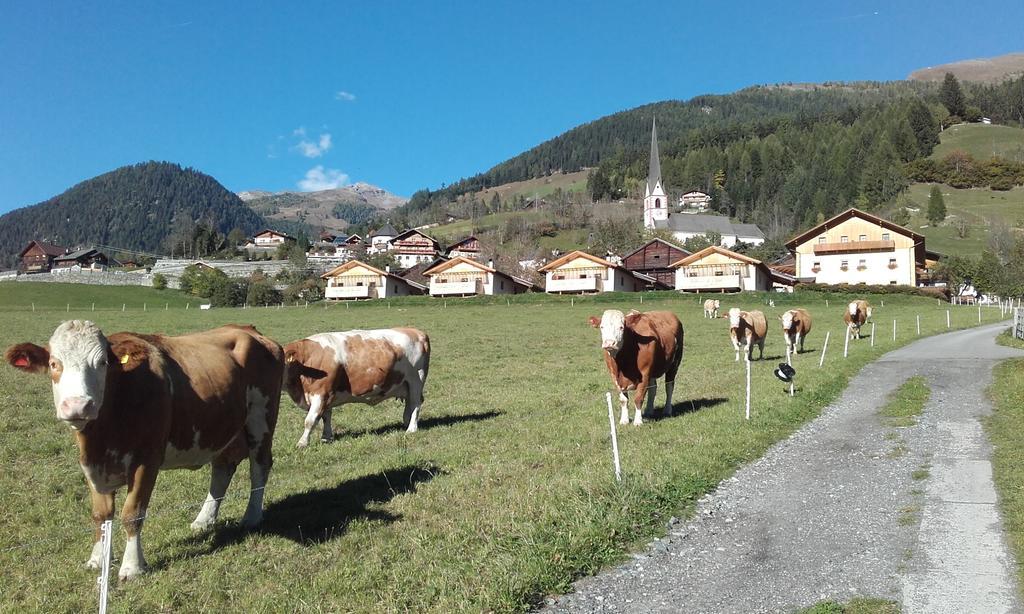 Moelltaler Ferienhaeuser Großkirchheim Dış mekan fotoğraf